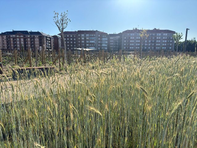 Parque-tierras-cereal.jpg