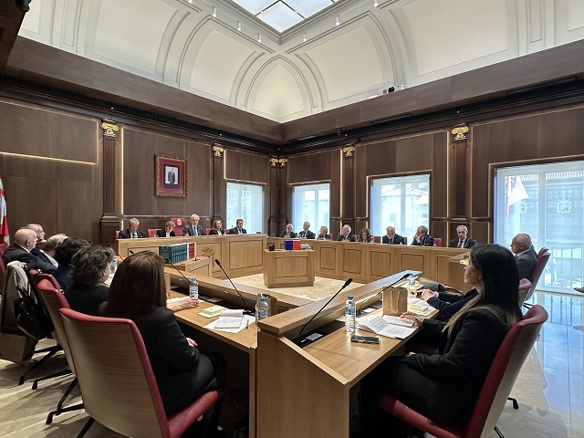 pleno rae-26.jpg