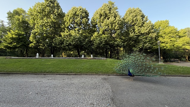  /es/actualidad/noticias/articulos/Lists/Fotos/quevedo-leon-parque15826.jpg