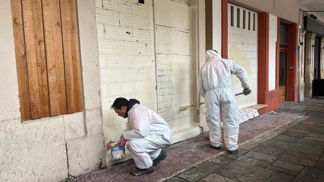 web-Limpieza pintadas 1.JPG